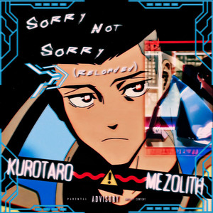 Sorry Not Sorry (B Side|Explicit)