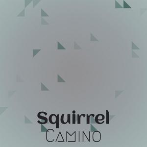 Squirrel Camino