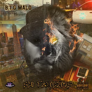 Shudda Known (feat. Jamhari De Trinijam) (Explicit)