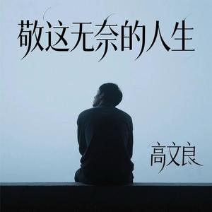 敬这无奈的人生 (伴奏)