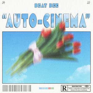 Auto-Cinema