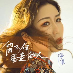 留不住要走的人 (DJ版)