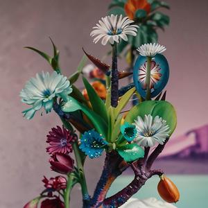 Norwegian Dance X Doctor T (Mashup)