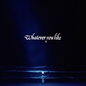 Whatever You Like (Explicit)