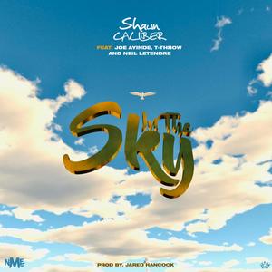 In The Sky (feat. Joe Ayinde, T-Throw & Neil Letendre)