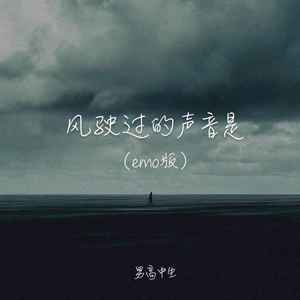 风驶过的声音是 (emo版)