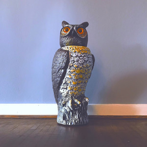 OWL (Explicit)