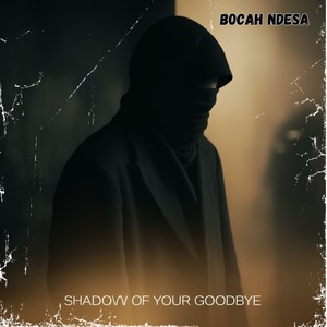 Shadow of Your Goodbye