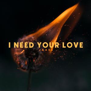 I Need Your Love