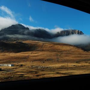 feel you (feat. Adam Panek & Zen Dojo)