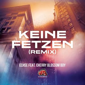Keine Fetzen (feat. Cherry Blossom Boy) (Remix)