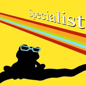 Specialist (From "Persona 4") (Cover)