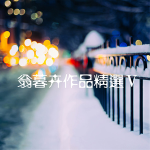 翁暮卉 - 塌陷在记忆里