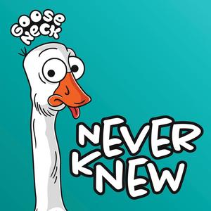 Never Knew (feat. CHASE PAVES)