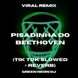 Pisadinha Do Beethoven (Tik Tok Slowed + Reverb) (Remix)
