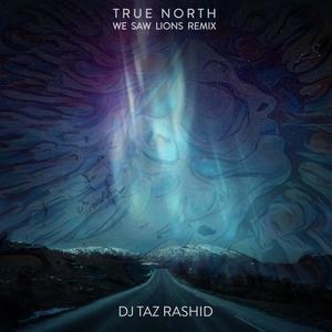 True North (We Saw Lions Remix)