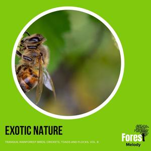 Exotic Nature - Tranquil Rainforest Birds, Crickets, Toads and Flocks, Vol. 8