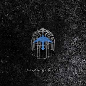 Perceptions of a Free Bird (Explicit)