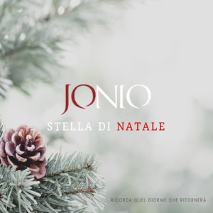 Stella di Natale