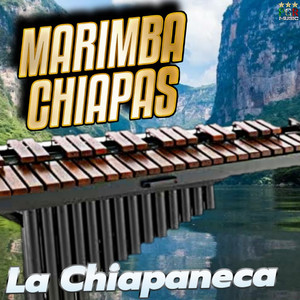 Caminos De Michoacan (Con Marimba)