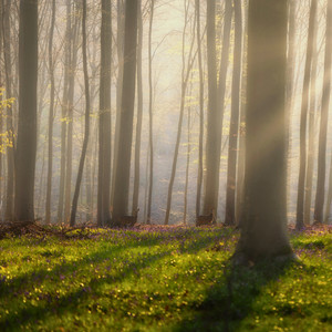 L’amore dice Ciao - Piano Version