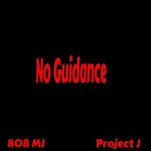 No Guidance