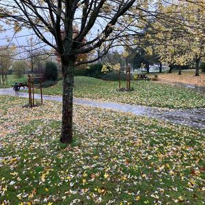 Mes gars surs (Explicit)