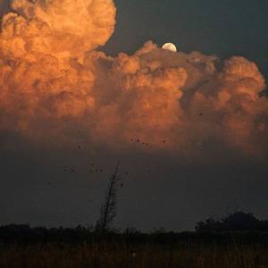 WELCOME TO THE PARK PIANO BY 夢