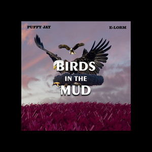 Birds in the Mud (Explicit)