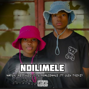 Ndilimele (Explicit)