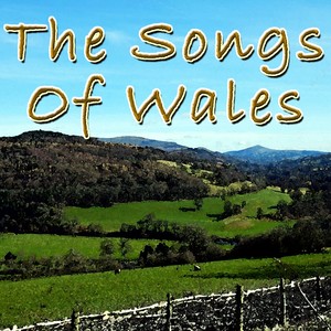 My Little Welsh Home