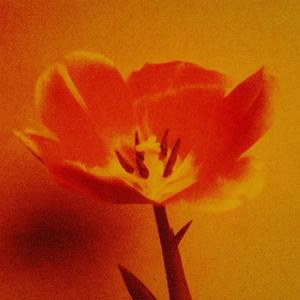 listen to me (Explicit)