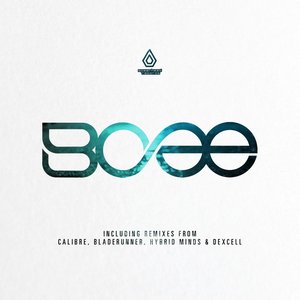 Typical Description (Calibre Remix)