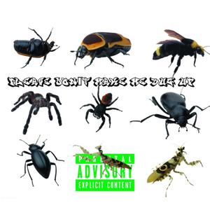 Please Dont Make Me Bug Up (Explicit)