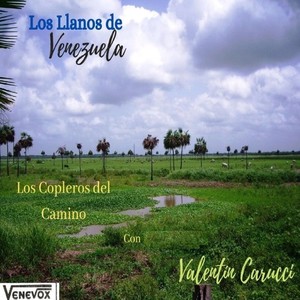 Los Llanos de Venezuela