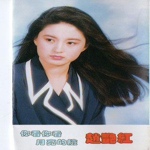 赵艳红 - 月朦胧,鸟朦胧 (新版)