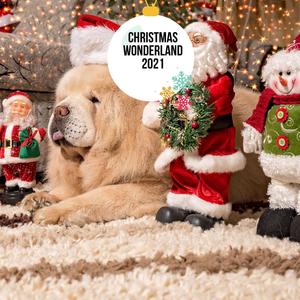 Christmas Wonderland 2021