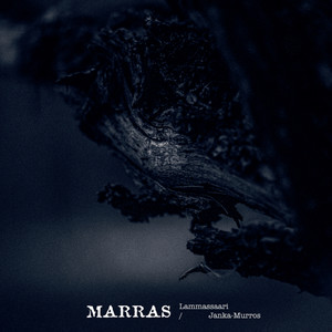 Marras II : Routa