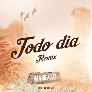 Todo Dia (Remix)