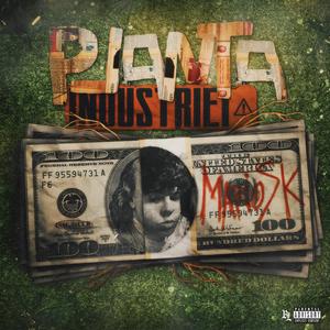 Planta Industriei (Explicit)