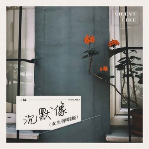 沉默像 (女声弹唱版)