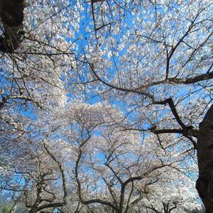 Expand your horizons