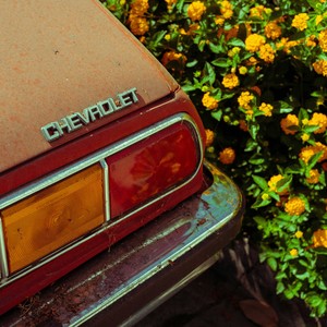 El Camino