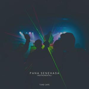 Pana Senehasa (Instrumental)