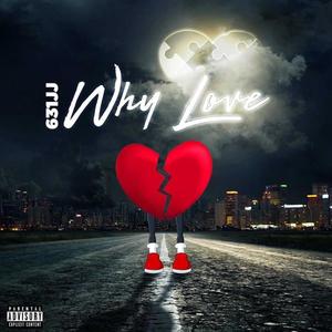 Why Love? (Explicit)