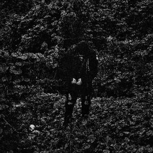 sharing needles (feat. Everett Latte) (Explicit)