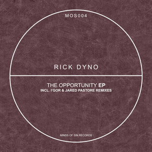 The Opportunity (Original Mix)