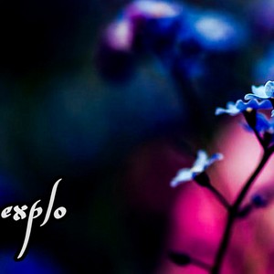 Floare de nu ma uita (Explicit)