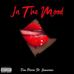 In The Mood (feat. Jamarius) (Explicit)