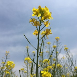 这个年纪的你 (Demo)